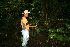  (Piper A.guadamuz361 - BioBot12454)  @11 [ ] CreativeCommons - Attribution Non-Commercial Share-Alike (2010) Daniel H. Janzen Guanacaste Dry Forest Conservation Fund