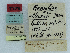  (Macroglossum alluaudi - CCDB-09453-B05)  @11 [ ] CreativeCommons - Attribution Non-Commercial Share-Alike (2014) Museum national d'Histoire naturelle  Muséum national d'Histoire naturelle