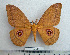  ( - BC-MN0048)  @14 [ ] Copyright (2010) M. Newport Research Collection of Mike Newport