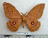  ( - BC-MN0049)  @15 [ ] Copyright (2010) M. Newport Research Collection of Mike Newport