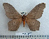  ( - BC-MN0084)  @13 [ ] Copyright (2010) M. Newport Research Collection of Mike Newport