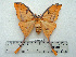  ( - BC-MN0117)  @11 [ ] Copyright (2010) M. Newport Research Collection of Mike Newport