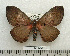  ( - BC-MN0129)  @14 [ ] Copyright (2010) M. Newport Research Collection of Mike Newport