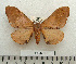  ( - BC-MN0133)  @14 [ ] Copyright (2010) M. Newport Research Collection of Mike Newport