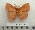  ( - BC-MN0143)  @13 [ ] Copyright (2010) M. Newport Research Collection of Mike Newport