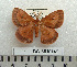  ( - BC-MN0149)  @11 [ ] Copyright (2010) M. Newport Research Collection of Mike Newport
