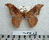  ( - BC-MN0154)  @11 [ ] Copyright (2010) M. Newport Research Collection of Mike Newport