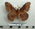  ( - BC-MN0180)  @14 [ ] Copyright (2010) M. Newport Research Collection of Mike Newport