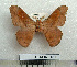  ( - BC-MN0181)  @13 [ ] Copyright (2010) M. Newport Research Collection of Mike Newport