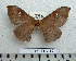  ( - BC-MN0182)  @11 [ ] Copyright (2010) M. Newport Research Collection of Mike Newport