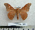  ( - BC-MN0183)  @13 [ ] Copyright (2010) M. Newport Research Collection of Mike Newport