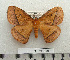  ( - BC-MN0191)  @15 [ ] Copyright (2010) M. Newport Research Collection of Mike Newport