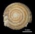  (Euconulus fulvus fulvus - MZB-2017-0847)  @11 [ ] CreativeCommons - Attribution Share-Alike (2021) Unspecified Museu de Ciencies Naturals de Barcelona, Zoological Collections