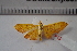  ( - MOTH613b)  @12 [ ] Copyright (2012) Aditi S Shere Kharwar Paul Hebert Centre for DNA Barcoding and Biodiversity Studies