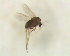  ( - UFSCAR FL-00018)  @12 [ ] CreativeCommons - Attribution (2010) Unspecified Centre for Biodiversity Genomics