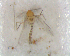  ( - UFSCAR FL-00032)  @12 [ ] CreativeCommons - Attribution (2010) Unspecified Centre for Biodiversity Genomics