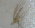  ( - UFSCAR FL-00048)  @12 [ ] CreativeCommons - Attribution (2010) Unspecified Centre for Biodiversity Genomics