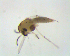  ( - SW-00029)  @12 [ ] CreativeCommons - Attribution (2010) Unspecified Centre for Biodiversity Genomics