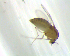  ( - SW-00031)  @12 [ ] CreativeCommons - Attribution (2010) Unspecified Centre for Biodiversity Genomics