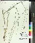  (Carex merritt-fernaldii - TJD-708)  @11 [ ] CreativeCommons - Attribution Non-Commercial (2014) MTMG McGill University Herbarium