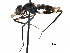  (Paragrallomyia thiemei - Sample-demo82)  @14 [ ] CreativeCommons - Attribution (2018) CBG Photography Group Centre for Biodiversity Genomics