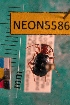  ( - NEONTcarabid5586)  @14 [ ] Copyright (2012) Barton, M National Ecological Observatory Network (NEON) http://www.neoninc.org/content/copyright