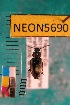  ( - NEONTcarabid5690)  @13 [ ] Copyright (2012) Barton, M National Ecological Observatory Network (NEON) http://www.neoninc.org/content/copyright