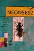  ( - NEONTcarabid5692)  @12 [ ] Copyright (2012) Barton, M National Ecological Observatory Network (NEON) http://www.neoninc.org/content/copyright