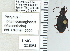  ( - NEONTcarabid4700)  @12 [ ] CreativeCommons - Attribution Non-Commercial Share-Alike (2011) Moore, W University of Arizona Insect Collection