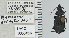  ( - NEONTcarabid4702)  @11 [ ] CreativeCommons - Attribution Non-Commercial Share-Alike (2011) Moore, W University of Arizona Insect Collection