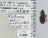  ( - NEONTcarabid5280)  @12 [ ] CreativeCommons - Attribution Non-Commercial Share-Alike (2011) Moore, W University of Arizona Insect Collection