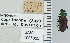  ( - NEONTcarabid4658)  @11 [ ] CreativeCommons - Attribution Non-Commercial Share-Alike (2011) Moore, W University of Arizona Insect Collection