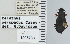  ( - NEONTcarabid4617)  @11 [ ] CreativeCommons - Attribution Non-Commercial Share-Alike (2011) Moore, W University of Arizona Insect Collection