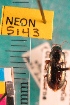  ( - NEONTcarabid5143)  @11 [ ] Copyright (2012) Blevins, KK and Travers, PD National Ecological Observatory Network (NEON) http://www.neoninc.org/content/copyright