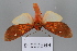  ( - FBE06018)  @11 [ ] CreativeCommons  Attribution Non-Commercial Share-Alike (2023) Brigitte Gottsberger University of Vienna, Dept of Botany and Biodiversity Research