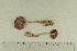  (Cortinarius myrtillinus - O-F-123461)  @11 [ ] by-nc-sa (2021) Unspecified University of Oslo, Natural History Museum