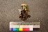  ( - TROM_F_26579)  @11 [ ] CreativeCommons - Attribution Non-Commercial Share-Alike (2018) Unspecified Tromsø University Museum