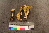  ( - TROM_F_26569)  @11 [ ] CreativeCommons - Attribution Non-Commercial Share-Alike (2018) Unspecified Tromsø University Museum