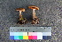  (Cortinarius rusticus - TROM_F_26577)  @11 [ ] CreativeCommons - Attribution Non-Commercial Share-Alike (2018) Unspecified Tromsø University Museum