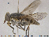  ( - NOBRA345)  @13 [ ] CreativeCommons - Attribution Non-Commercial Share-Alike (2015) NTNU University Museum, Department of Natural History NTNU University Museum, Department of Natural History