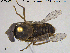  ( - NOBRA356)  @11 [ ] CreativeCommons - Attribution Non-Commercial Share-Alike (2015) NTNU University Museum, Department of Natural History NTNU University Museum, Department of Natural History