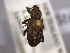  ( - NZAC04200090)  @11 [ ] No Rights Reserved (2022) Unspecified Landcare Research, New Zealand Arthropod Collection