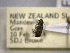  (Euciodes - NZAC04259327)  @11 [ ] No Rights Reserved (2022) Unspecified Landcare Research, New Zealand Arthropod Collection