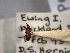  ( - NZAC04259329)  @11 [ ] No Rights Reserved (2022) Unspecified Landcare Research, New Zealand Arthropod Collection