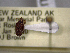  (Emplesis bifoveata - NZAC04259331)  @11 [ ] No Rights Reserved (2022) Unspecified Landcare Research, New Zealand Arthropod Collection