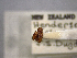  ( - NZAC04259333)  @11 [ ] No Rights Reserved (2022) Unspecified Landcare Research, New Zealand Arthropod Collection