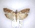  ( - NZAC04201573)  @11 [ ] No Rights Reserved (2020) Unspecified Landcare Research, New Zealand Arthropod Collection