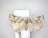  ( - NZAC04201652B)  @11 [ ] No Rights Reserved (2020) Unspecified Landcare Research, New Zealand Arthropod Collection