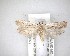  ( - NZAC04201663)  @11 [ ] No Rights Reserved (2020) Unspecified Landcare Research, New Zealand Arthropod Collection