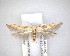  ( - NZAC04201668)  @11 [ ] No Rights Reserved (2020) Unspecified Landcare Research, New Zealand Arthropod Collection